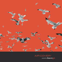 air cover birds